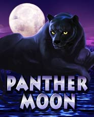 Panther Moon